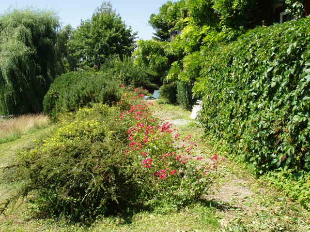 Westansicht mit Garten